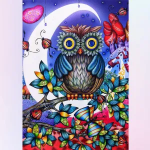 Owl's Colorful World