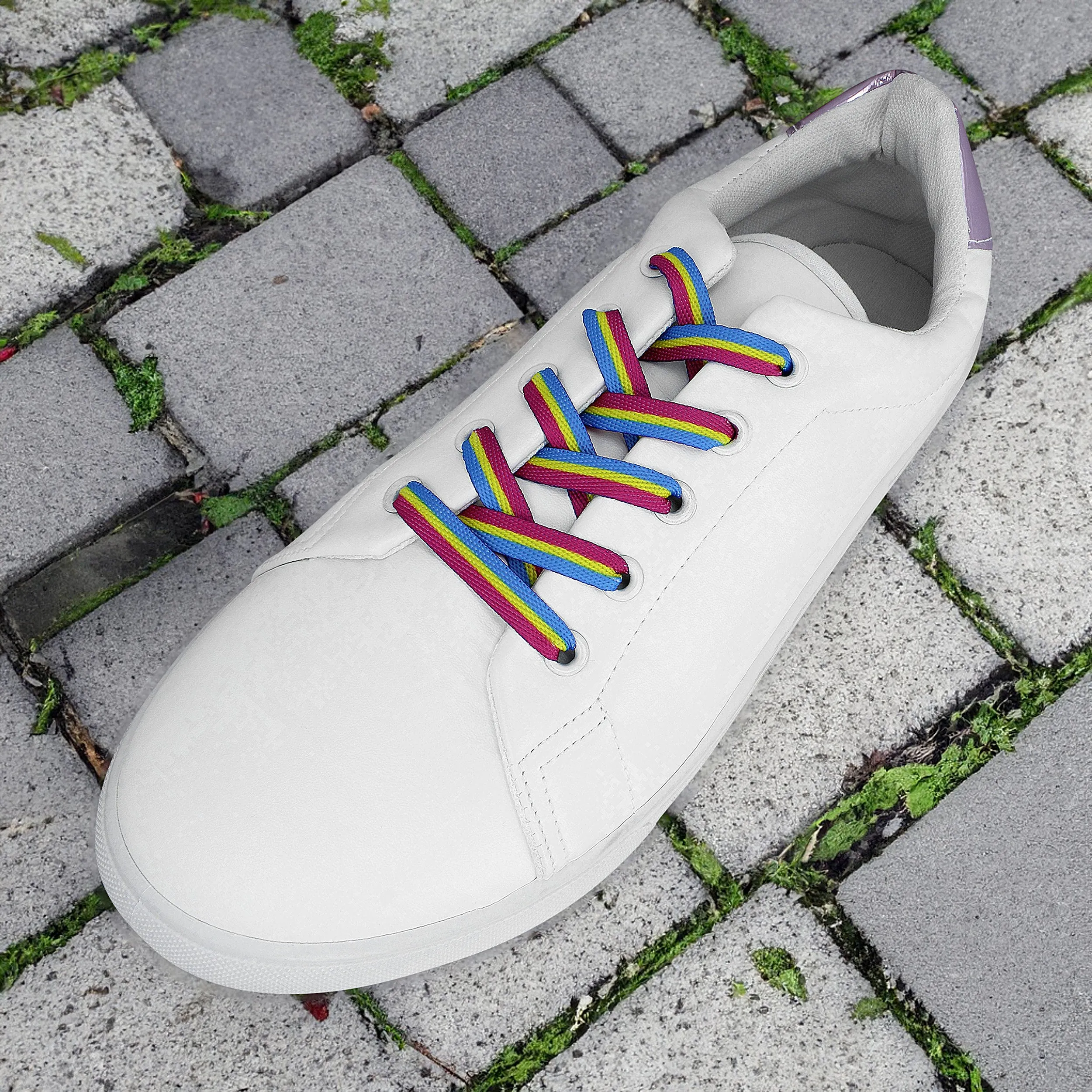 Pansexual Flag Striped Shoe Laces