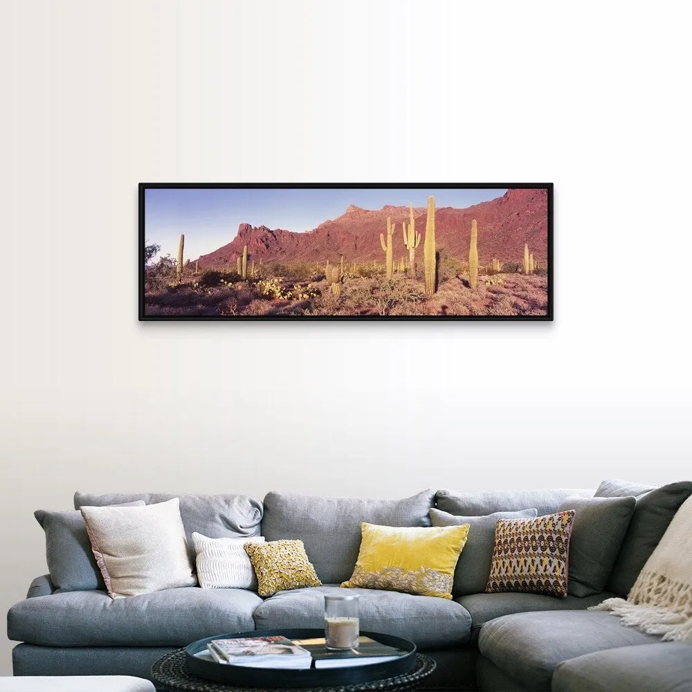 "Alamo Canyon Organ Pipe Cactus National Park AZ" Black Float Frame Canvas Art