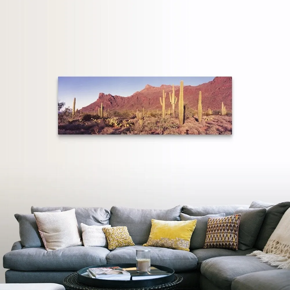 "Alamo Canyon Organ Pipe Cactus National Park AZ" Canvas Wall Art