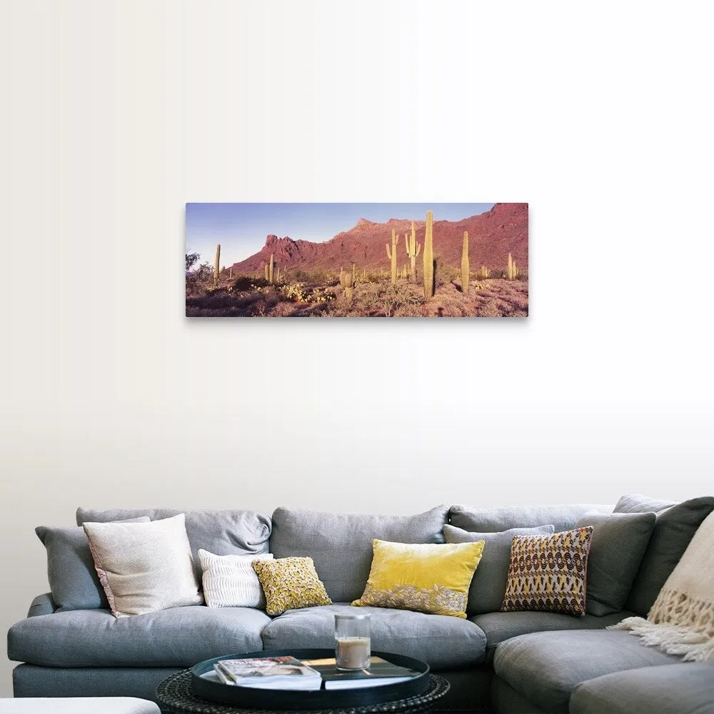 "Alamo Canyon Organ Pipe Cactus National Park AZ" Canvas Wall Art