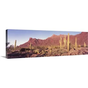 "Alamo Canyon Organ Pipe Cactus National Park AZ" Canvas Wall Art