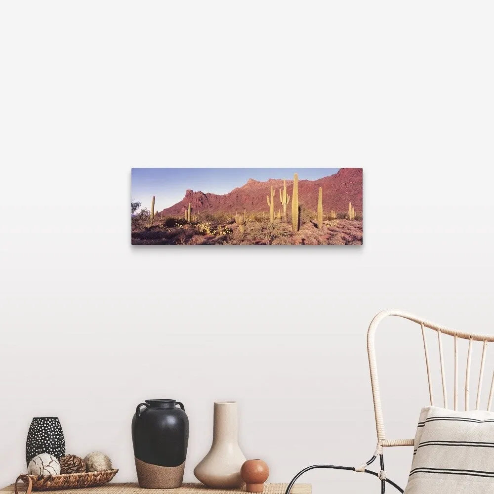 "Alamo Canyon Organ Pipe Cactus National Park AZ" Canvas Wall Art